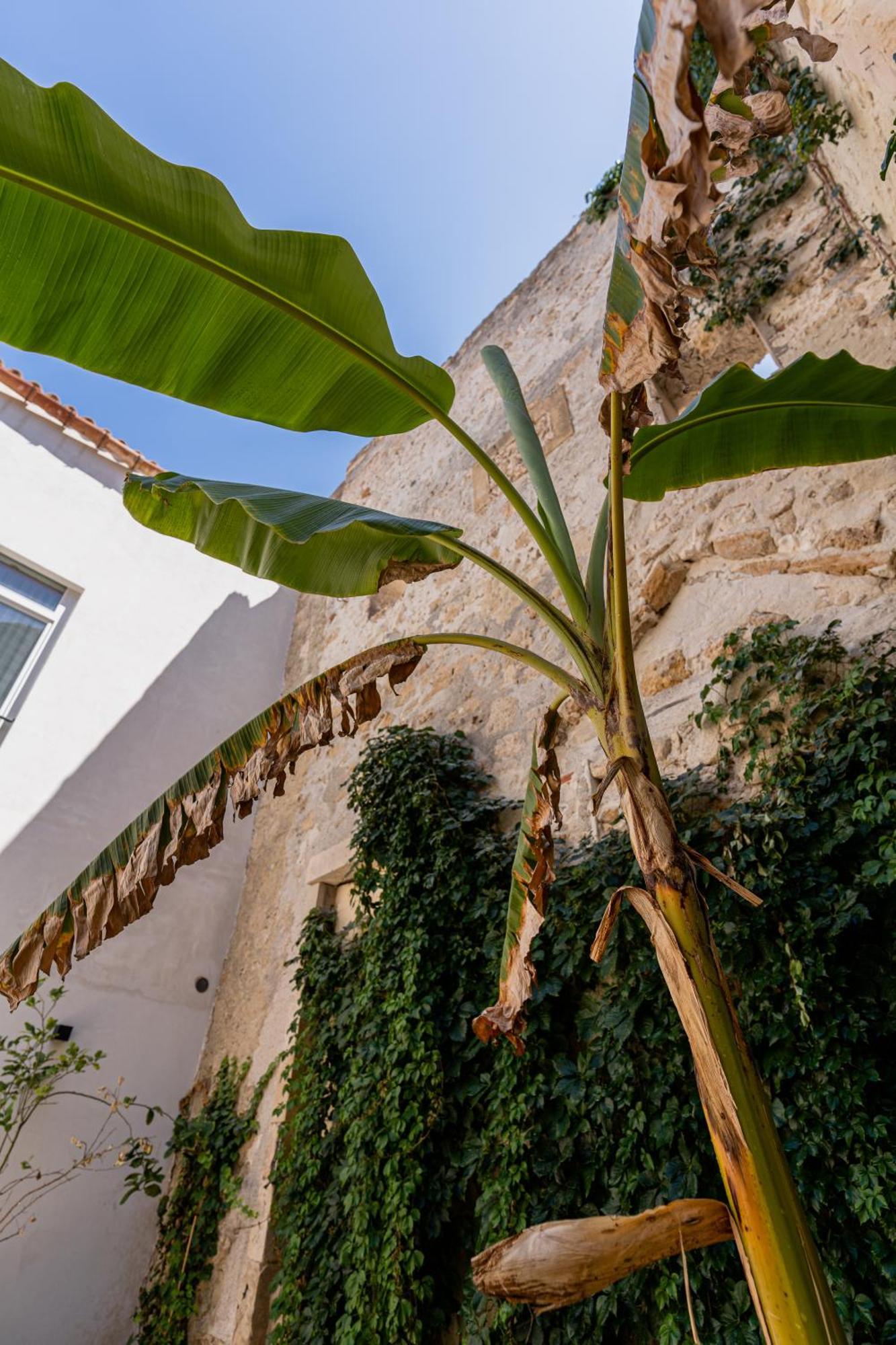 Isabella Di Castiglia Apartments Syrakus Exterior foto